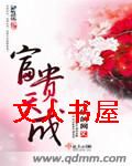 富贵天成封面