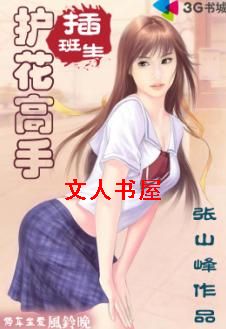 护花高手插班生封面