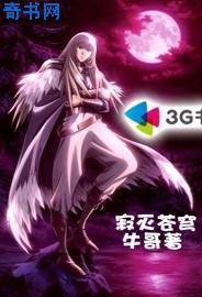 寂灭苍穹封面