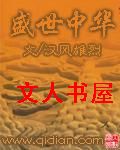 盛世中华封面
