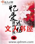 忆爱成伤封面