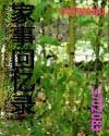 遍地桃花 遍地桃花