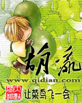 葫乱 葫乱