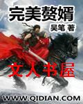 完美赘婿封面