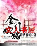 金闺婉媚封面