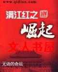 满江红之崛起封面