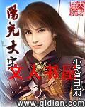 阳光大宋封面