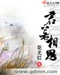 君若相思封面