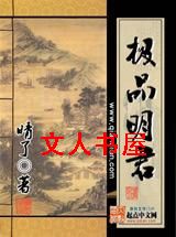 极品明君封面