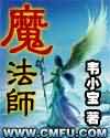 魔法师封面