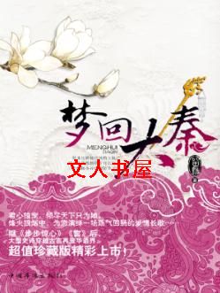 梦回大秦封面