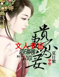贵妻不为妾封面