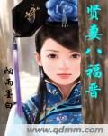 贤妻八福晋封面
