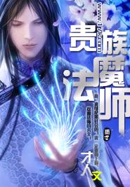 贵族魔法师 贵族魔法师