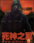 死神之翼封面