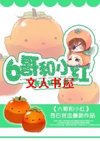 6哥和小红封面