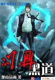 问鼎黑道封面