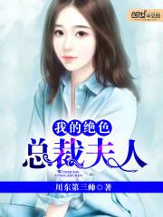 我的绝色总裁夫人封面