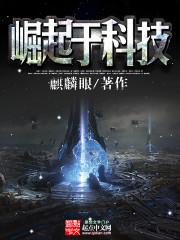 崛起于科技封面