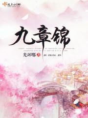 九章锦封面