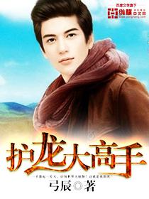 护龙大高手封面