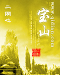 宝山封面