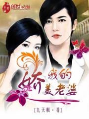 我的娇美老婆封面