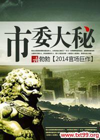 市委大秘封面