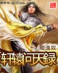轩辕问天録封面