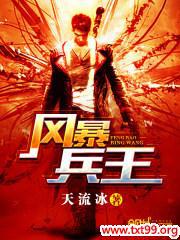 风暴兵王封面