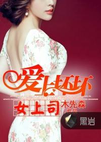 爱上坏坏女上司封面