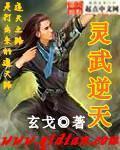灵武逆天封面