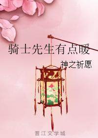 骑士先生有点暖封面