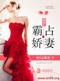 婚后霸占娇妻封面
