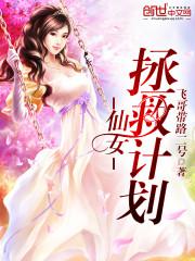 仙女拯救计划封面