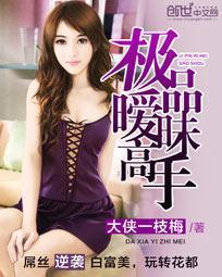 极品暧昧高手封面