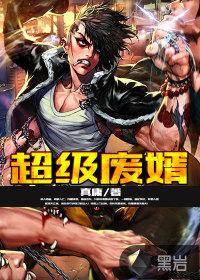 超级废婿封面