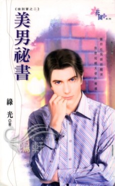 美男秘书封面