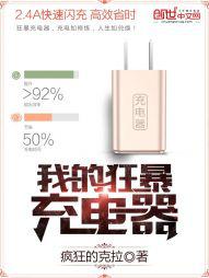 我的狂暴充电器封面