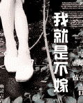 我就是不嫁封面