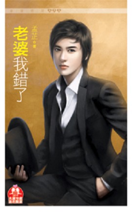 老婆我错了封面