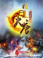 北美大唐封面