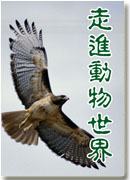 走近动物世界封面