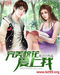 完美校花爱上我封面