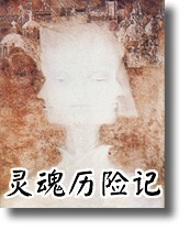 灵魂历险记封面