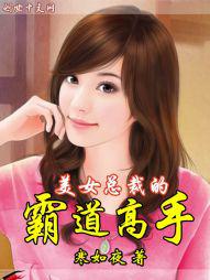 美女总裁的霸道高手封面