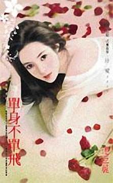 单身不单飞封面