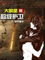 大明星的超级护卫封面
