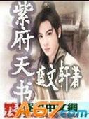 紫府天书封面