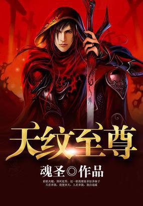 天纹至尊封面